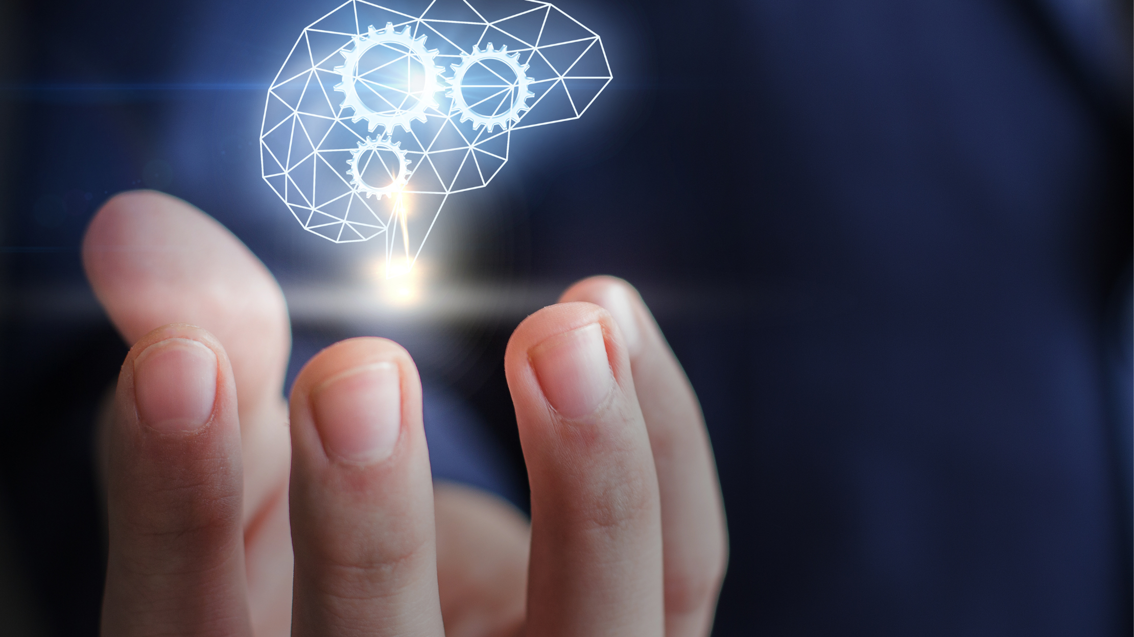 Research & Innovation